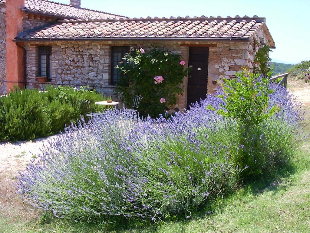 Podere Costa Romana Narni Exteriör bild