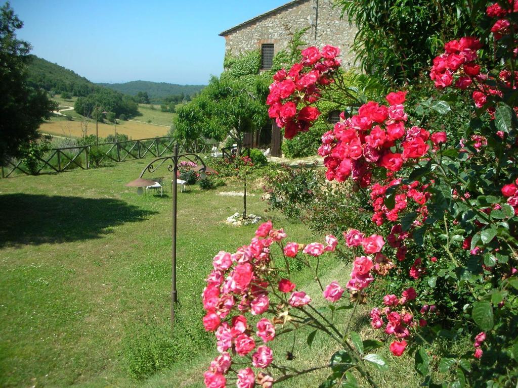 Podere Costa Romana Narni Exteriör bild